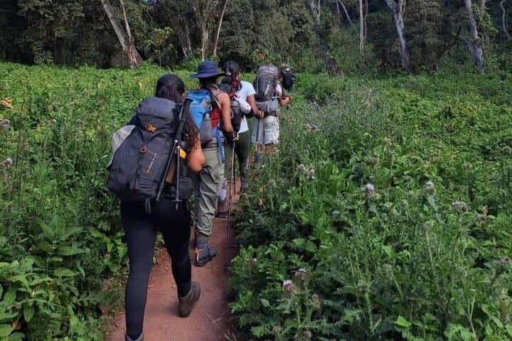 Umbwe Route Kilimanjaro 6-Day Climb: Steep Direct Ascent to Uhuru Peak photo 3