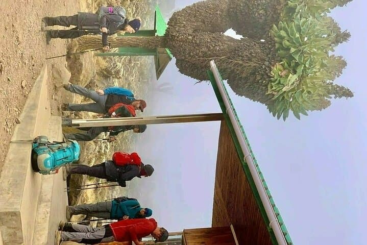 Kilimanjaro Machame Route: 6-Day Summit Trek from Moshi photo 4
