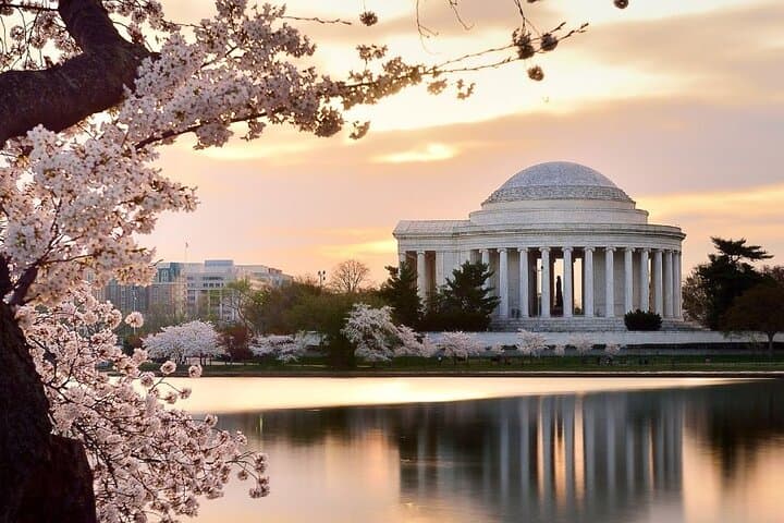 Private Custom Walking Tour of Washington DC: Monuments, Museums & Neighborhoods photo 3