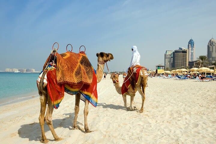Private Custom Walking Tour in Dubai: Personalized City Walk with a Local Guide