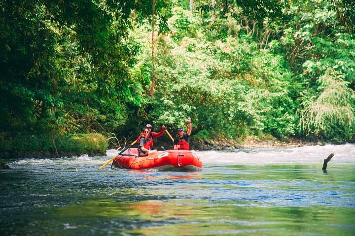 Sarapiqui River Safari Float from San José — Rainforest Wildlife & River Paddle photo 3
