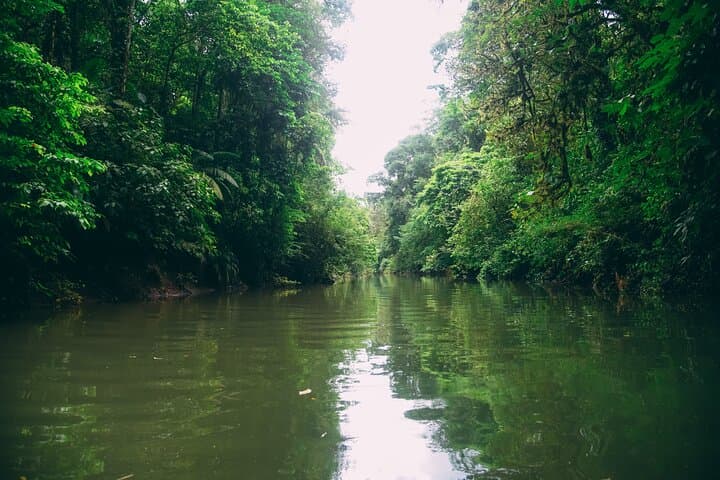 Sarapiqui River Safari Float from San José — Rainforest Wildlife & River Paddle photo 6