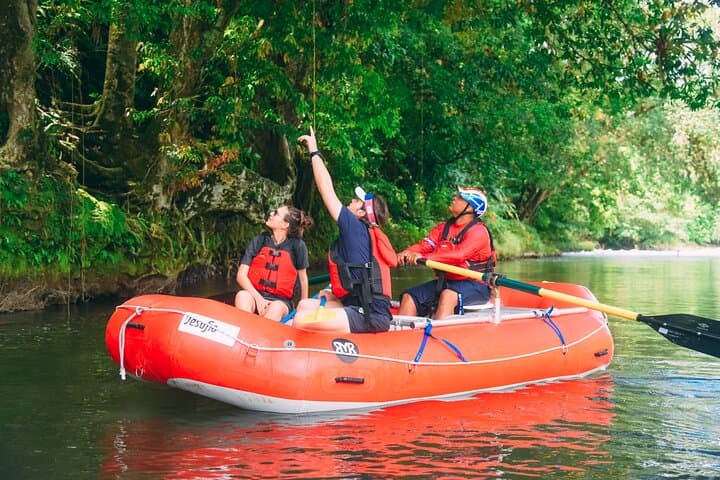Sarapiqui River Safari Float from San José — Rainforest Wildlife & River Paddle photo 2