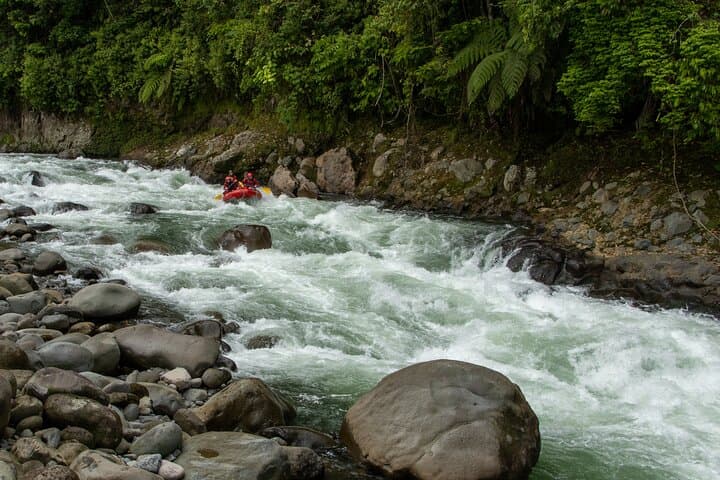 Sarapiquí River White Water Rafting — Class II–III Day Trip from San José photo 2