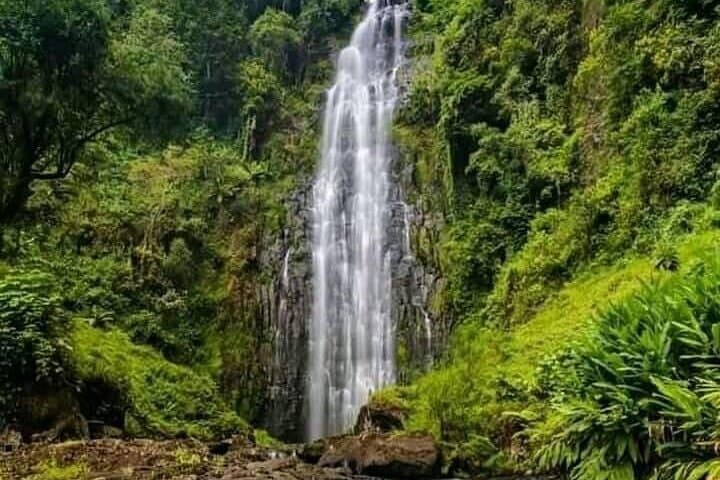 Materuni Waterfalls Day Trip — Coffee Trails & Kilimanjaro Views photo 2