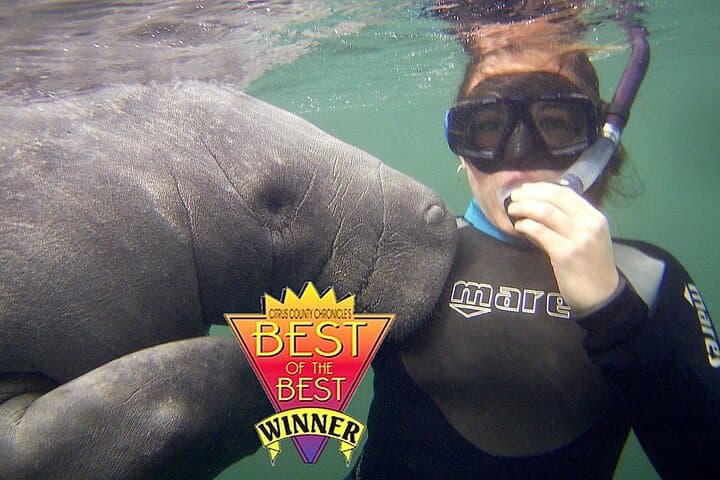 Crystal River Manatee Snorkel Tour — Swim with Florida's Sea Cows photo 1