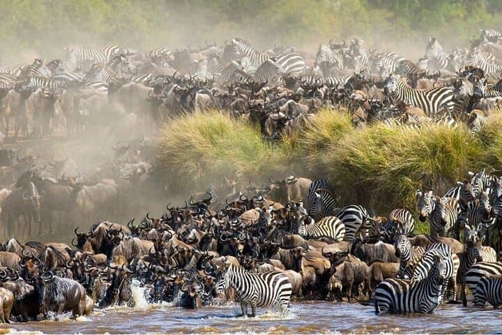 3-Day Maasai Mara Safari: Big Five Game Drives & Rift Valley Views
