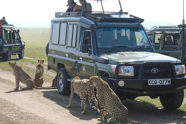 3-Day Maasai Mara Safari: Big Five Game Drives & Rift Valley Views photo 3