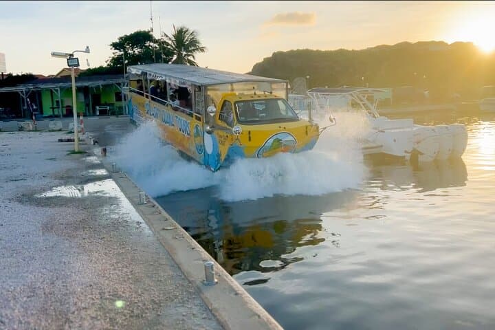 Splashy Iguana Tour in Curaçao: City-to-Sea Combo from Willemstad photo 1