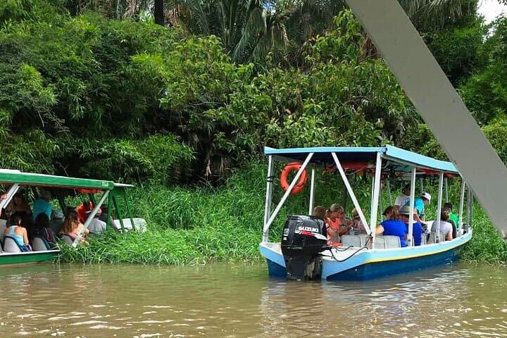 Palo Verde Tempisque River Boat Tour: Wildlife & Tico Lunch Near Nicoya