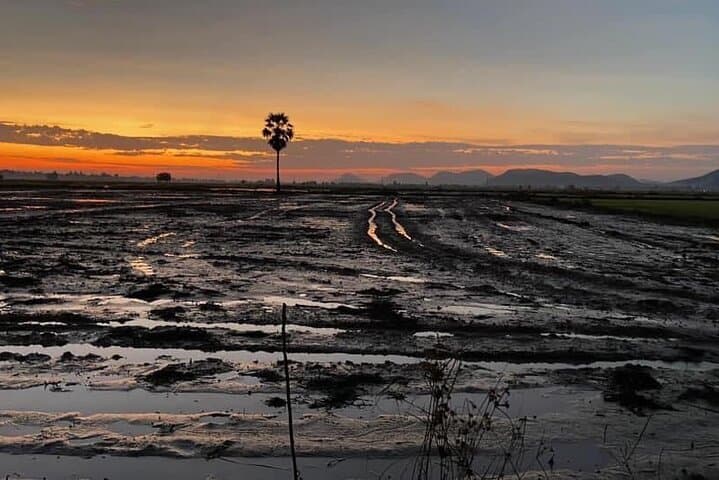 Full-Day Battambang Tuk-Tuk Tour: Temples, Rice Fields & Bat Cave Sunset photo 2