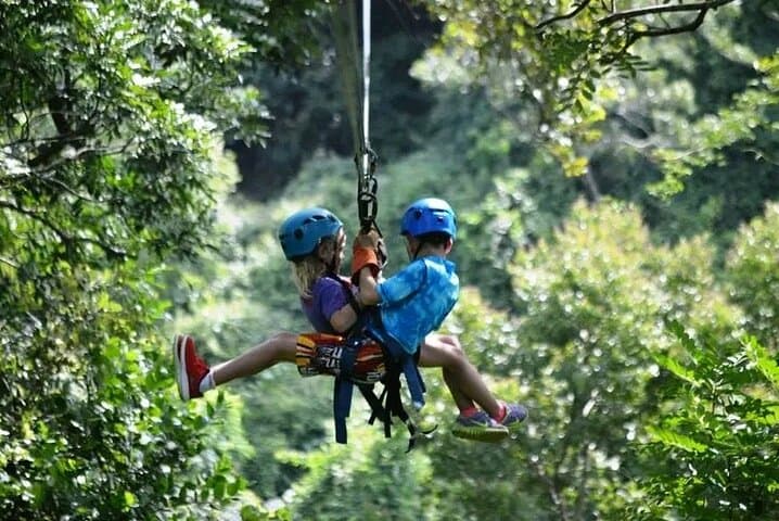 Roatan Half-Day Zipline, Suspension Bridges & Beach Wildlife Tour photo 5