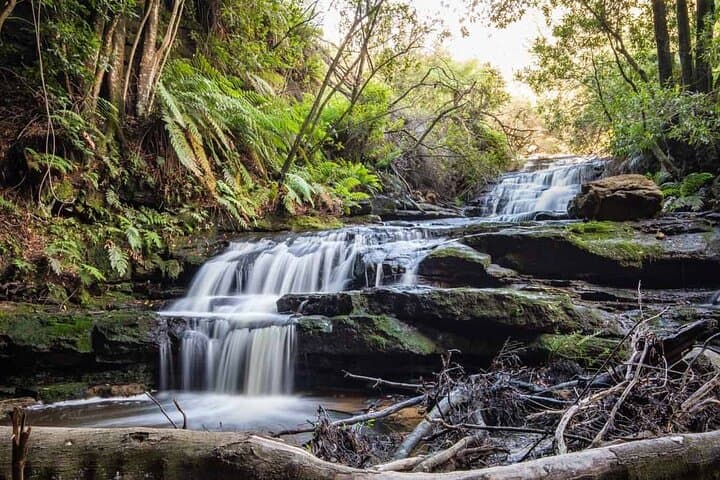Blue Mountains Luxury Day Tour from Sydney — Scenic World, Three Sisters & Leura photo 3