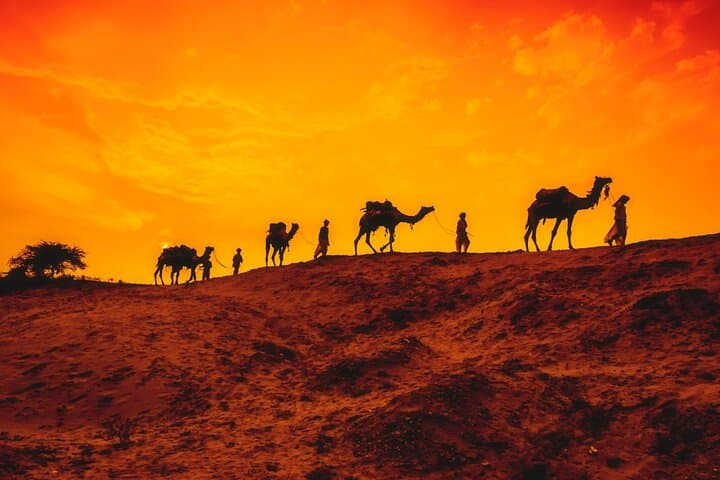 Classic Rajasthan: Taj Mahal, Tigers, Lakes & Forts — 12-Day Immersive Tour photo 5