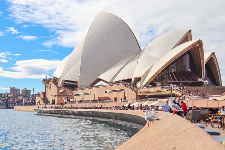 Luxury Sydney Harbour Catamaran and Private Chauffeur Tour photo 4
