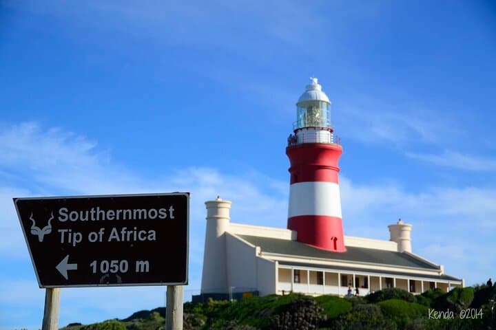Cape Agulhas Full-Day Private Tour from Cape Town — Southernmost Tip & Penguin Colony photo 2