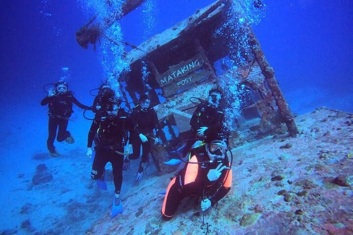 Mataking & Timba-Timba Day Dives: Turtles, Stingrays and a Shipwreck off Semporna photo 4