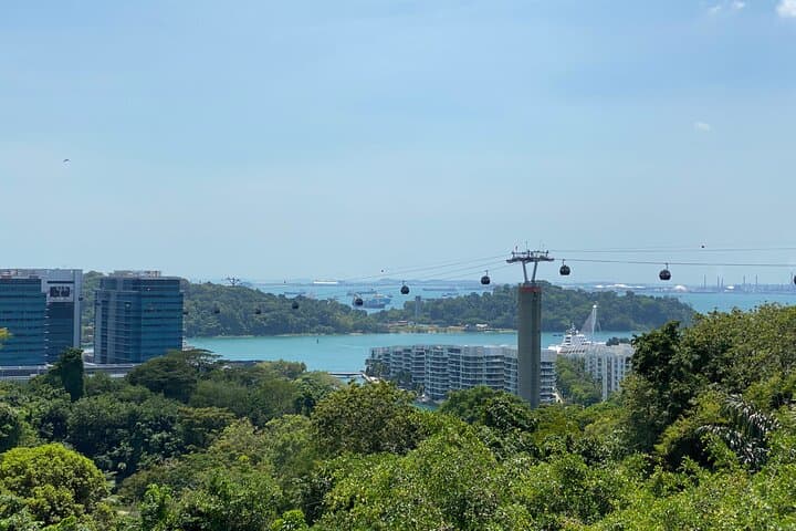 Exploring Singapore’s Forgotten Hills: Southern Ridges Walk, Henderson Waves & Coastal Fort