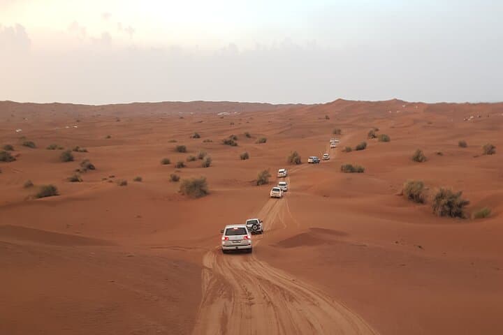 Dubai Desert Safari and Quad Bike Adventure with Dinner photo 4