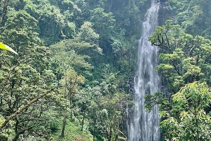 Materuni Waterfalls & Chemka Hot Springs: Coffee, Cold Cascades and Warm Pools Near Moshi