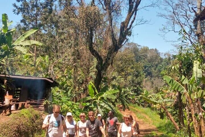 Materuni Waterfalls & Chemka Hot Springs: Coffee, Cold Cascades and Warm Pools Near Moshi photo 5
