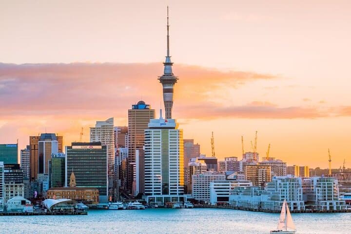 Private Custom Auckland Walking Tour with Local Guide photo 3