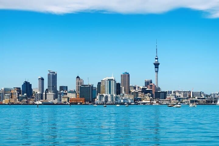 Private Custom Auckland Walking Tour with Local Guide photo 5