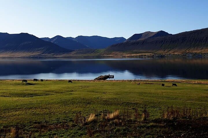 Dynjandi Waterfall & Farm Visit: Half-Day from Ísafjörður photo 6