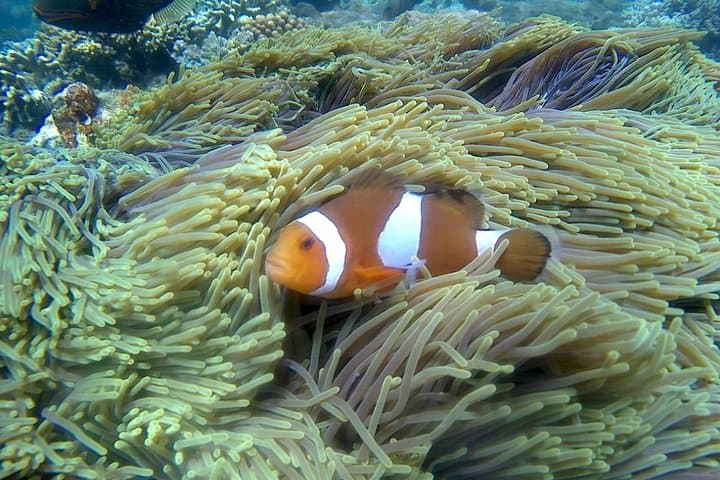Blue Lagoon & Tanjung Jepun Snorkel with Tukad Cepung Waterfall — Full-Day Bali Adventure photo 3
