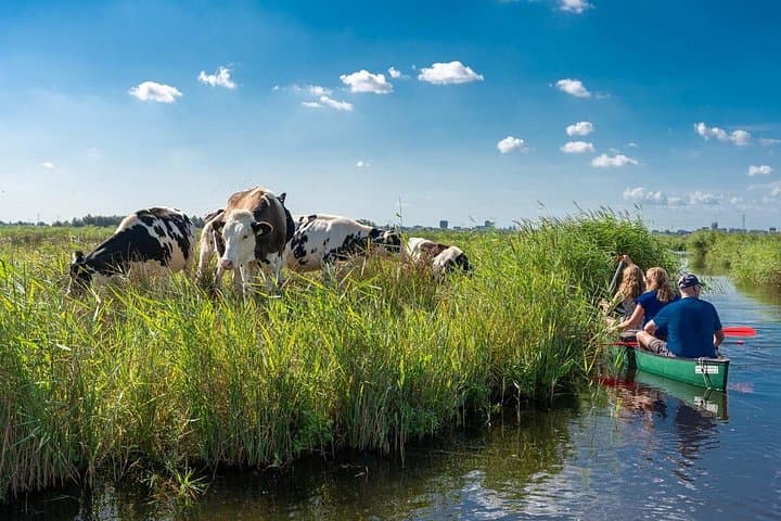 Guided Canoe Tour in Waterland: Picnic & Village Paddles Near Amsterdam
