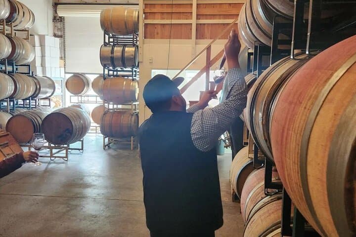 Solvang Santa Ynez Valley Small Group All-Inclusive Wine Tour photo 6