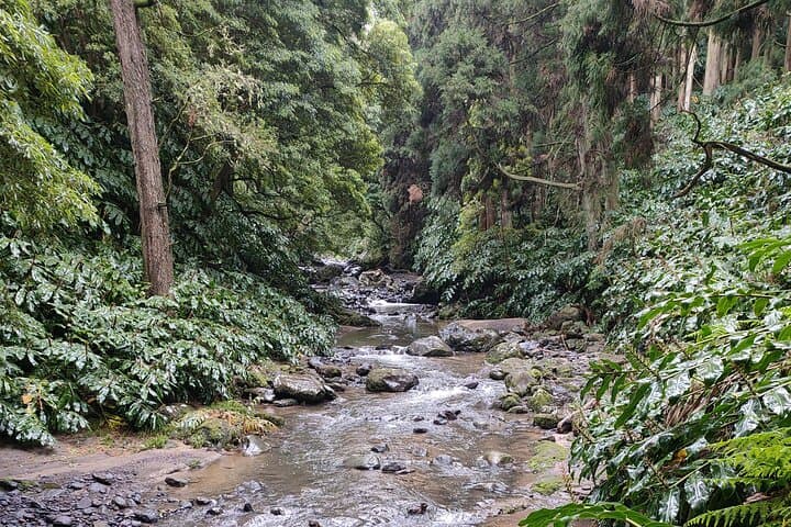 Azores Waterfalls Route: Full-Day Hike to Ribeira dos Caldeiroes photo 2