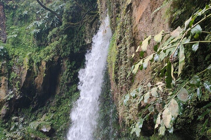 Azores Waterfalls Route: Full-Day Hike to Ribeira dos Caldeiroes photo 3