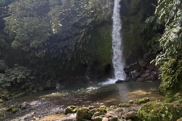 Azores Waterfalls Route: Full-Day Hike to Ribeira dos Caldeiroes photo 6
