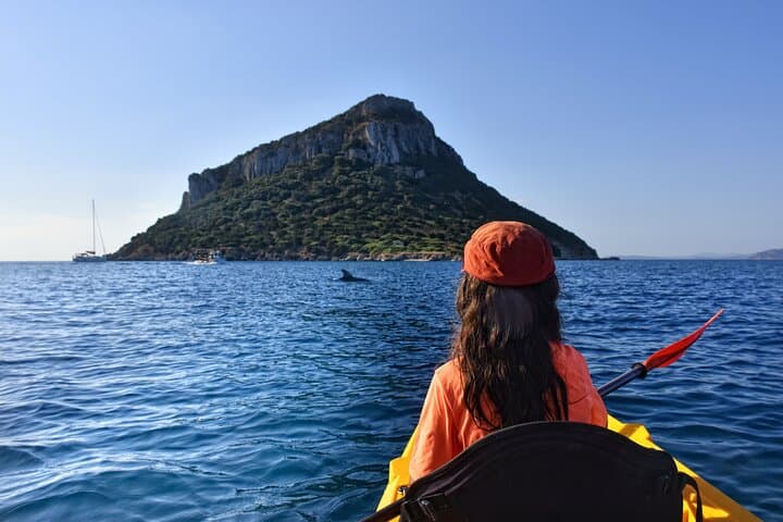 Kayak to Cala Moresca & Figarolo: Dolphins, Snorkel and Sardinian Aperitif photo 5