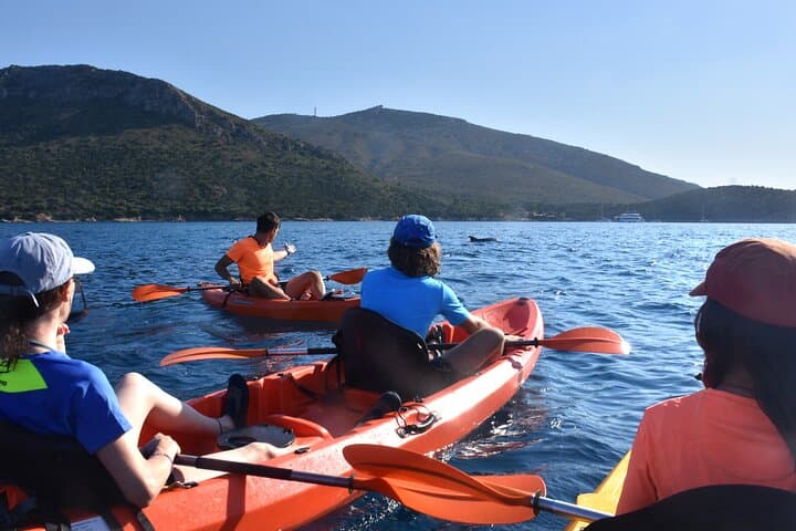 Kayak to Cala Moresca & Figarolo: Dolphins, Snorkel and Sardinian Aperitif photo 2