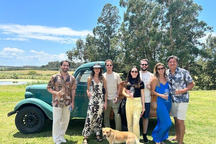 Punta del Este Wine Tour: Small-Group Tannat Tasting & Lunch at La Barra Vineyard photo 3