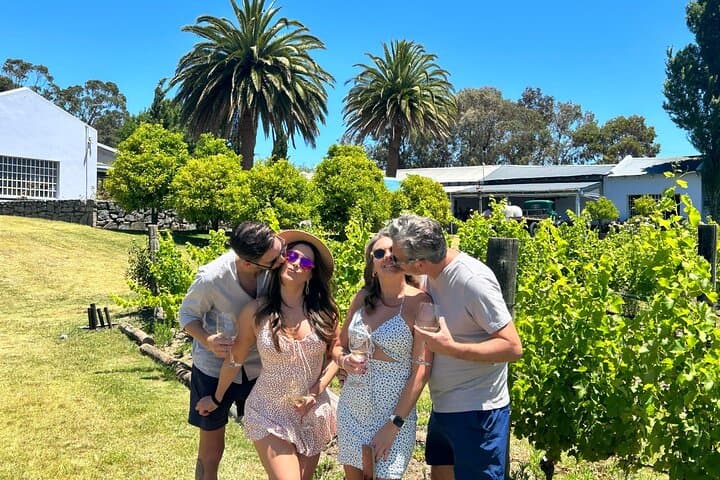 Punta del Este Wine Tour: Small-Group Tannat Tasting & Lunch at La Barra Vineyard photo 6