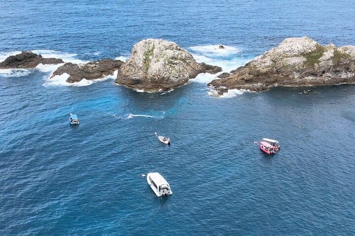 Julian Rocks Snorkel Tour Byron Bay — Guided Marine Biologist Experience photo 5