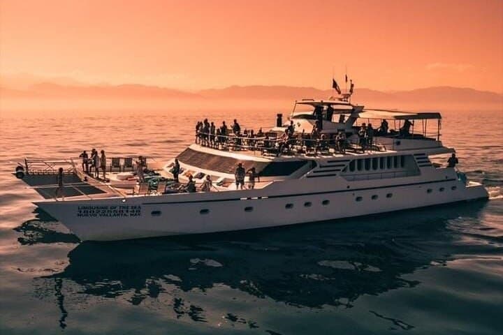 Sunset Whale-Watching Mega-Yacht Cruise on Bahía de Banderas photo 2