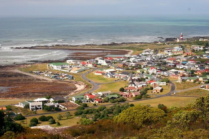 Where Two Oceans Meet: Full-Day Cape Agulhas Private Tour photo 6
