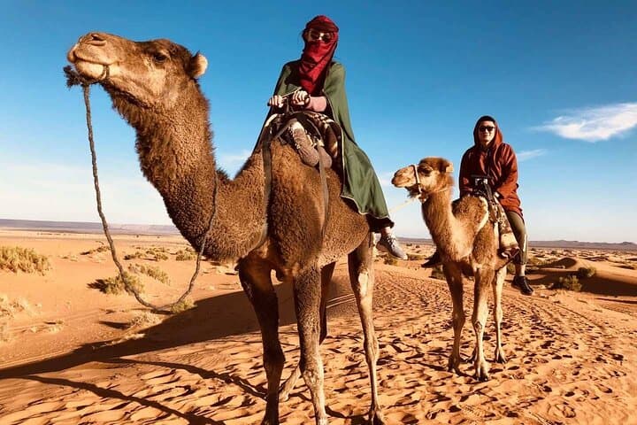 Two-Day Luxury Merzouga Desert Tour from Fez — Camel Ride, Dunes & Berber Camp photo 1