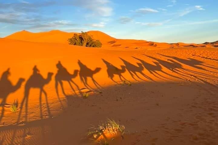 3-Day Marrakech to Merzouga Desert Tour — Camel Trek, Erg Chebbi & Berber Camp photo 5