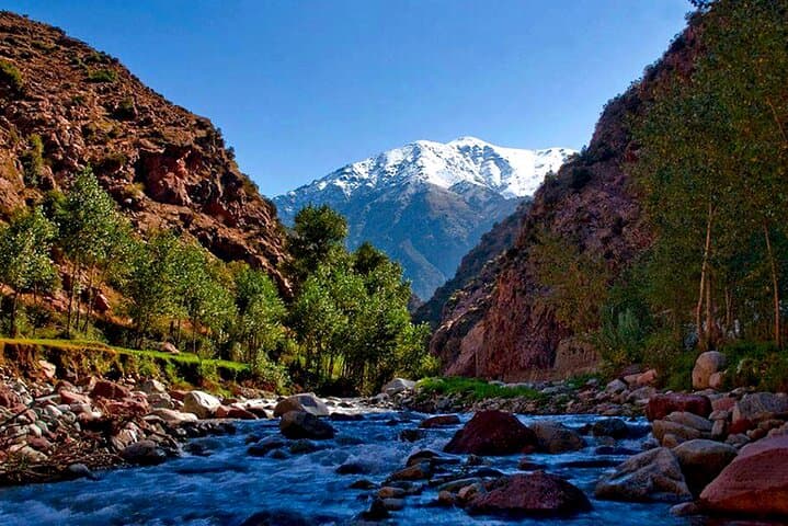 Full-Day Ourika Valley Escape: Hike, Berber Culture & Waterfalls from Marrakech photo 3