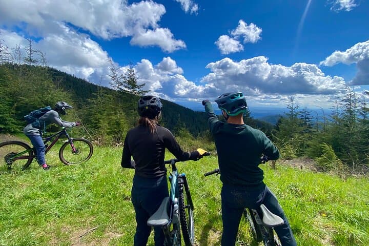 Explore Seattle’s Epic Half-Day Mountain Bike Tour Through Pacific Northwest Trails