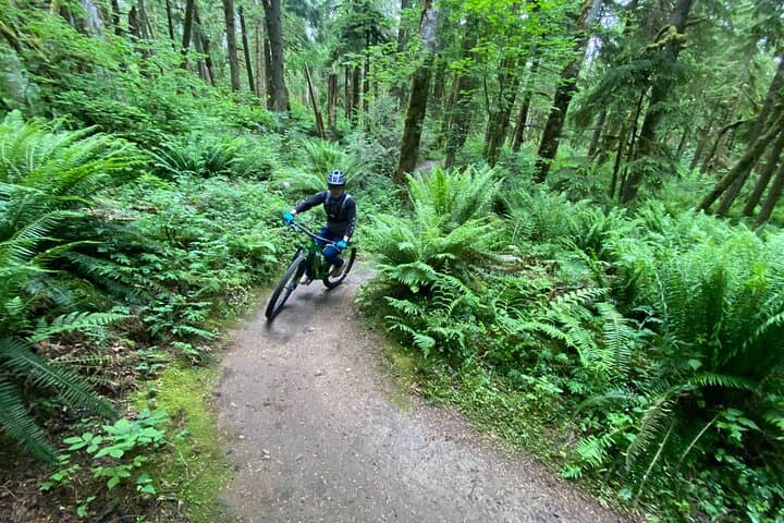 Explore Seattle’s Epic Half-Day Mountain Bike Tour Through Pacific Northwest Trails photo 4