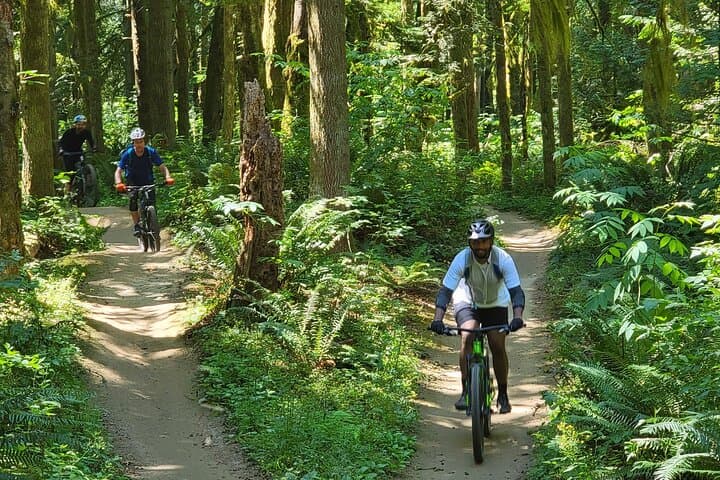 Explore Seattle’s Epic Half-Day Mountain Bike Tour Through Pacific Northwest Trails photo 5