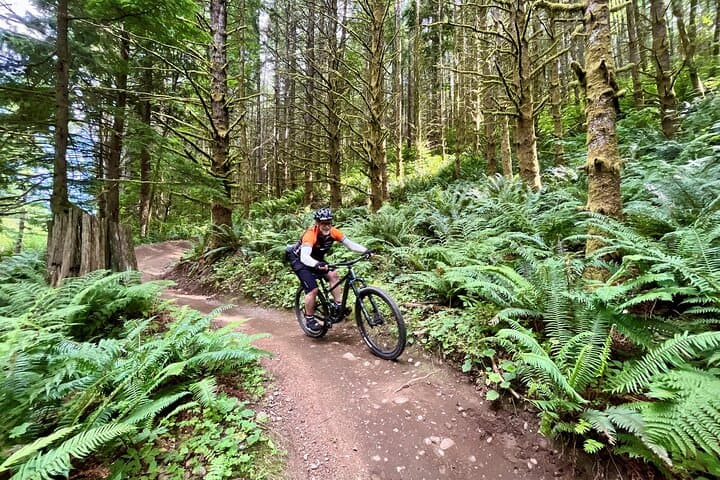 Explore Seattle’s Epic Half-Day Mountain Bike Tour Through Pacific Northwest Trails photo 6