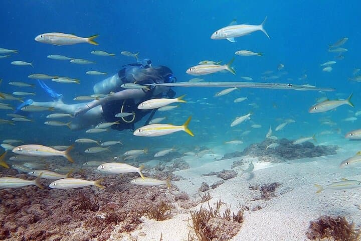 Beginner Scuba Diving in West Palm Beach — Shore Dive with Free Video photo 2
