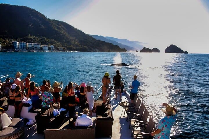 Sunset Whale-Watching Mega-Yacht Cruise on Bahía de Banderas